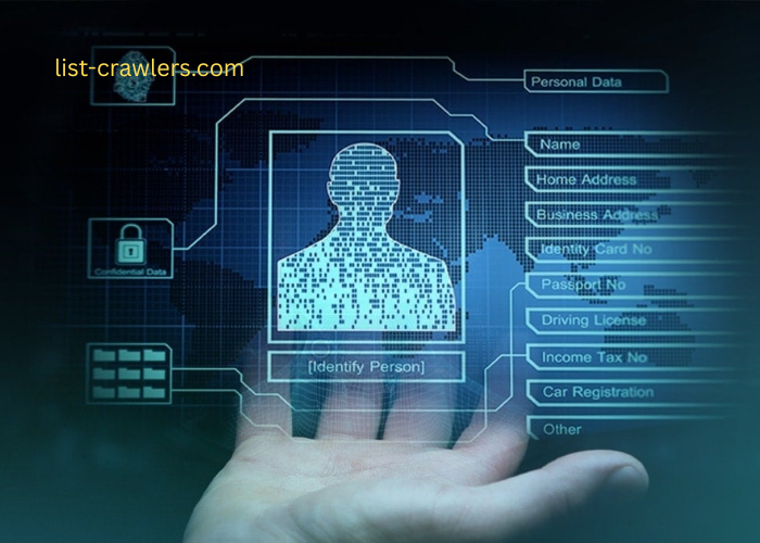 The Essential Guide to Managing Your Digital Content and Online Identity